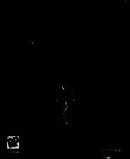 《上古卷轴5：天际》典藏版