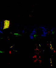 《我亲爱的陛下》简体中文硬盘版