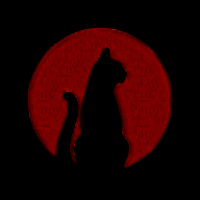 黑猫盒子 2025最新版 V1.4.2