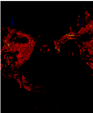 《检察官&mdash;第二本书：村庄》简体中文免安装版