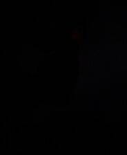 《幽灵镇少女》官方版