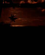 《Project Castaway抢先体验版》免安装版