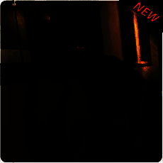 小偷闲置抢劫模拟器 V1.1