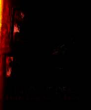 《勇闯死人谷：暗黑之日》风灵月影修改器