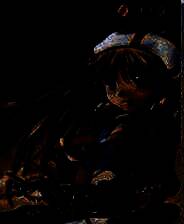 《飘羽 失落的羽翼》 繁体中文镜像版