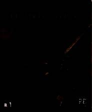 《狮心王》简体中文硬盘版