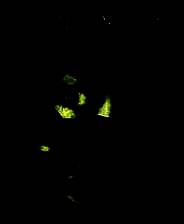 《死刑犯：罪恶起源》 GOD版XBOX360版