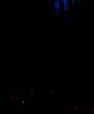 《伍尔夫：小红帽日记》 英文镜像版