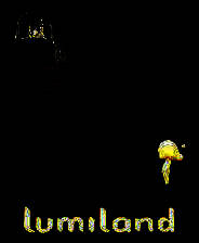 《卢米之地》简体中文免安装版