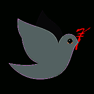 财鸽记账 最新版 V2.1.6