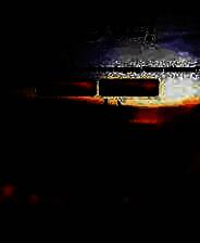 《动物大迁徒》英文免安装版