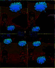 我的公司我做主 简体中文汉化Flash版