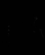 《零：濡鸦的巫女》日版wiiu版