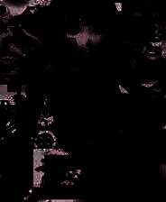 《幻觉ST》 v1.5升级档+未加密补丁[TENOKE]