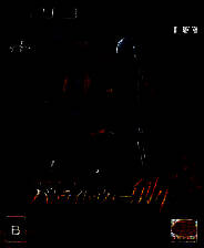 《假面骑士：战骑大战2》日版PS3版