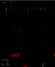 《狂野西部》英文镜像版