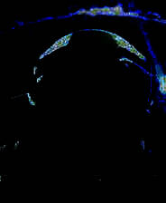 《奥西里斯：新黎明》3DM免安装未加密版