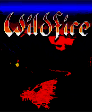 《野火》简体中文免安装版