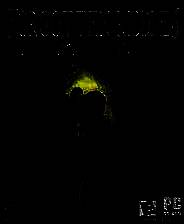 《玛雅公主遗失之谜》英文免安装版