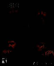 《鸭子王朝》英文免安装版