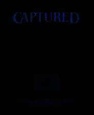 《摄像头惊魂》 v1.0.14.2升级档+未加密补丁[TENOKE]