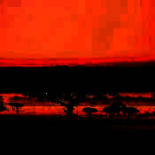 大自然音乐 V1.2