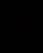 《剁手哥布林》英文免安装版