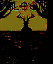 《开花》英文镜像版