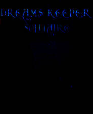 《梦想守护者纸牌》英文免安装版