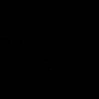 Egg Fried Rice 中文版 V1.0