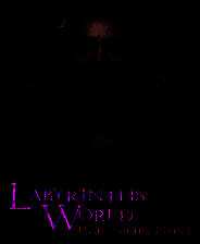 《世界迷宫：星球之心》英文免安装版