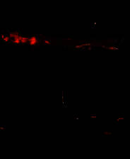 《抢滩登陆战2002》 简体中文免安装版