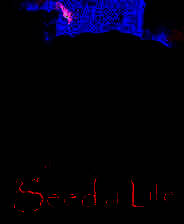 《生命之种》简体中文免安装版