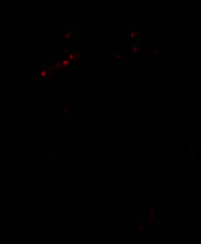 《西维欧》英文免安装版