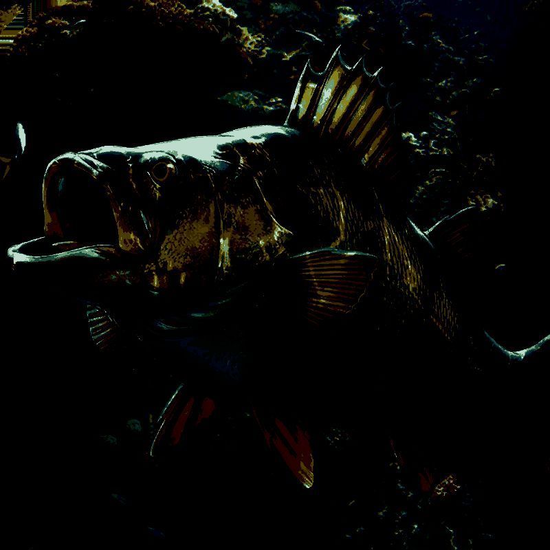 欢乐钓鱼大师 最新手机版 V1.0