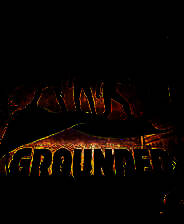 《Grounded》免安装下载