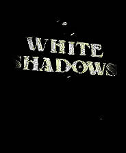 《白影》中文免安装版