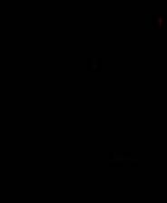 《时间之谜2：远古幽灵》官方简体中文免安装版