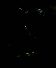 《魔戒：最后之日》简体中文硬盘版