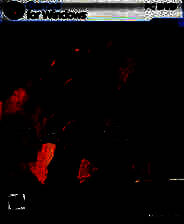 《光晕2》免安装中文版