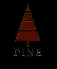 《松树》英文免安装版