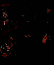 《夜行侦探&middot;零》简体中文版