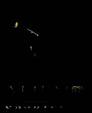 《孤胆枪手2HD》英文免安装版