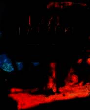 《哆啦哒之岛第一章：艾弗瑞斯之沙》英文免安装版