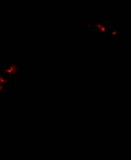 《横冲直撞：终极杀戮》美版ISO版XBOX360版