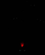 《祖玛的复仇》硬盘版