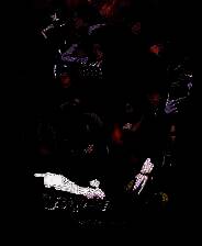 《逆转检察官1&2 御剑精选集》正版