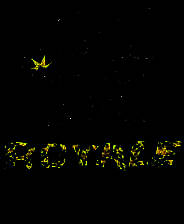 《路怒皇家》英文免安装版