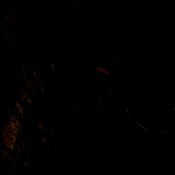 步行王者 正版 V0.2.2