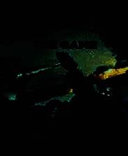 《陨落星辰》英文免安装版